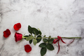Red roses on grey stone background. - PhotoDune Item for Sale