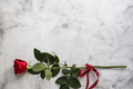 Red roses on grey stone background. - PhotoDune Item for Sale