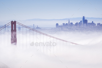 og, the financial district skyline in the background, the Salesforce tower almost finished, as seen from the Marin Headlands State Park, California