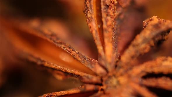 Exotic Dried Anise Spice Rotating on Plate, Extreme Close-Up. Culinary Art