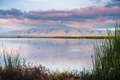 Sunset view in the wetlands of South San Francisco Bay - PhotoDune Item for Sale