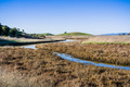 Meandering creek and marsh landscape, South San Francisco Bay - PhotoDune Item for Sale