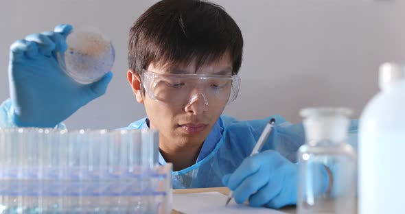 Scientist doing research on bacterial colonies in an opened glass petri dish