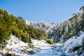 Mount Baldy (Mt San Antonio) ski lift on a sunny winter day - PhotoDune Item for Sale