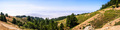 Panoramic view of the hills and valleys of Mt Tamalpais State Park - PhotoDune Item for Sale