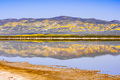 Wildflower covered mountains reflected in a calm lake - PhotoDune Item for Sale