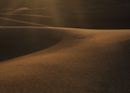 Desert Journeyman - PhotoDune Item for Sale