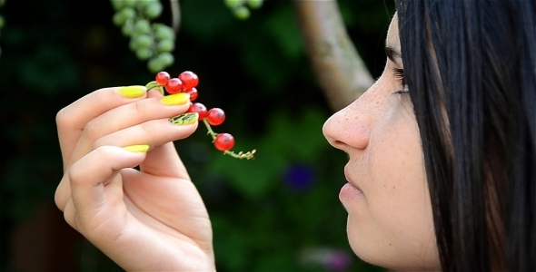 Girl With Berries 2