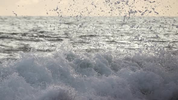 Sea Surf Wave at Sunset