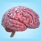 Brain Low-poly - 3DOcean Item for Sale
