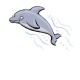 Cartoon Dolphin Squeak