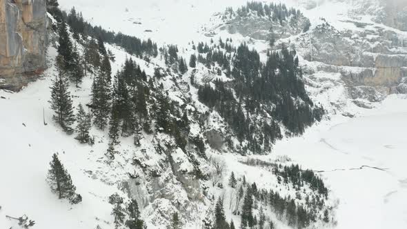 Aerial overview of beautiful snow covered mountains with green pine forests