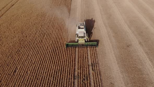 A Combine Harvests Crop in Field