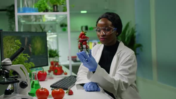 Biologist Researcher Looking at Organic Strawberry Examining Fruits