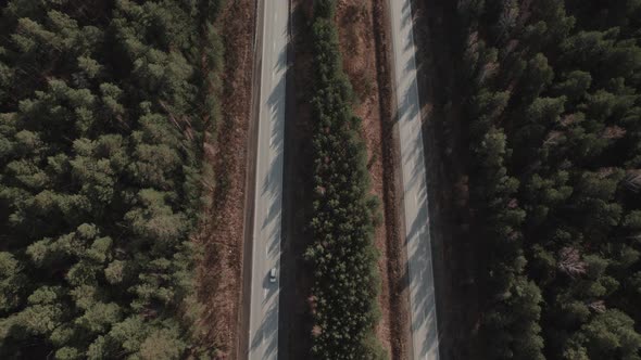 Highway road between deep forest in Ural