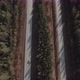 Highway road between deep forest in Ural - VideoHive Item for Sale