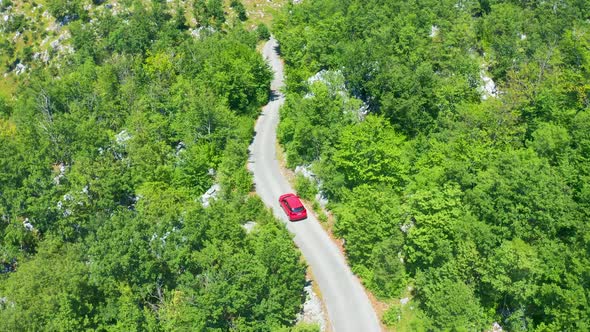 Aerial View of Drone to Road with Red Car Through Forest with Bends