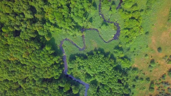 AERIAL Top Down View on Small Winding River in Summer Forest