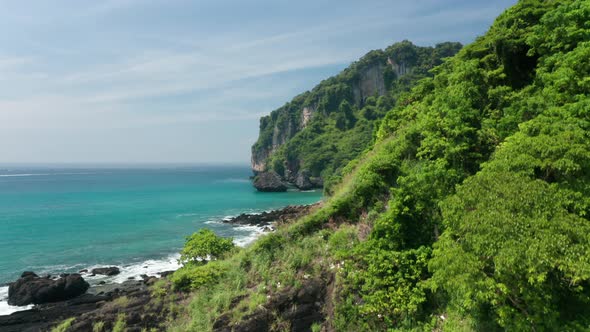 Tilting Aerial Shot From Ground Up of Thailand Beach and Forest Tree