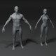 Male and Female Body Base Mesh 3D Model 10k Polygons - 3DOcean Item for Sale