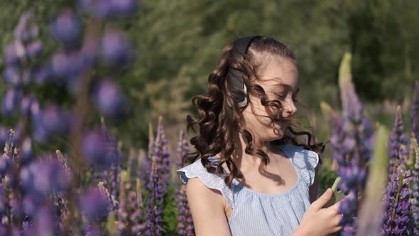 Beautiful Happy Little Girl Dancing in the Sunset on Headphones in a Blooming Purple Field of Lupins