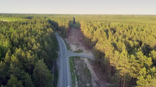 Bird Eye View Cut Down Area in Pine Forest Crossed By Road