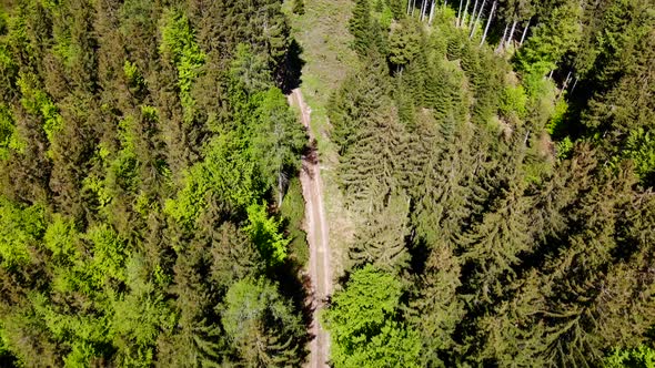 Beautiful view from the Signalkogel on an forest drone video