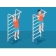 Chinup on Bar Exercise - GraphicRiver Item for Sale