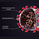 Covid 19 Coronavirus Stucture and Diagram 3D animation - VideoHive Item for Sale