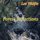 Forest Reflections