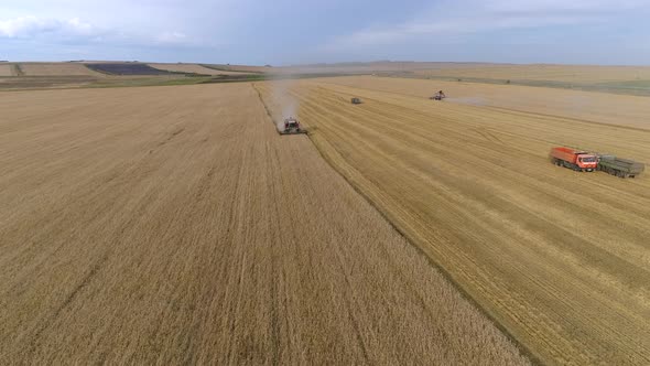 Flying over Harvesting Wheat