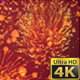 Fireworks - VideoHive Item for Sale