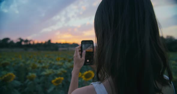 Inspired Traveler Woman Make Digital Content Using Smartphone on Sunflower Field