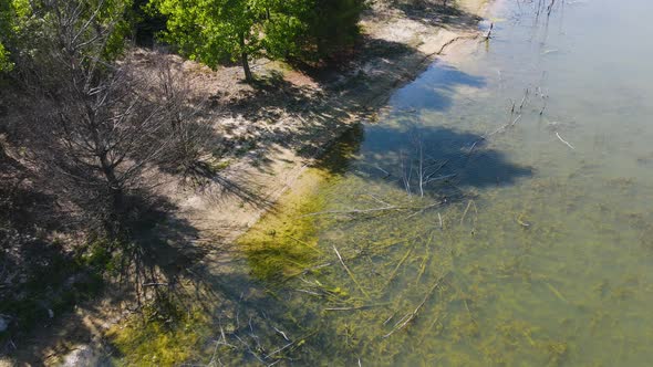 Dying trees on the shoreline of a lake.