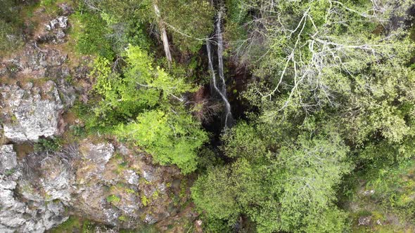 4k drone footage revealing a majestic waterfall in Monchique, peeking through the surrounding jungle