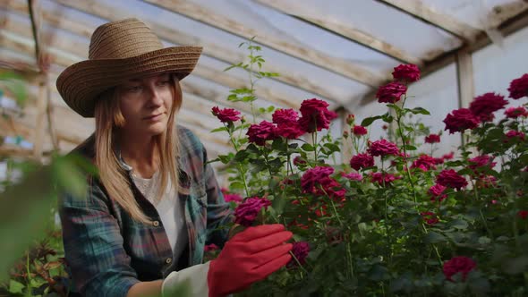 Girl Florist in a Flower Greenhouse Sitting Examines Roses Touches Hands Smiling. Little Flower