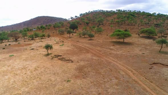 aerial view of the farms in Arusha town