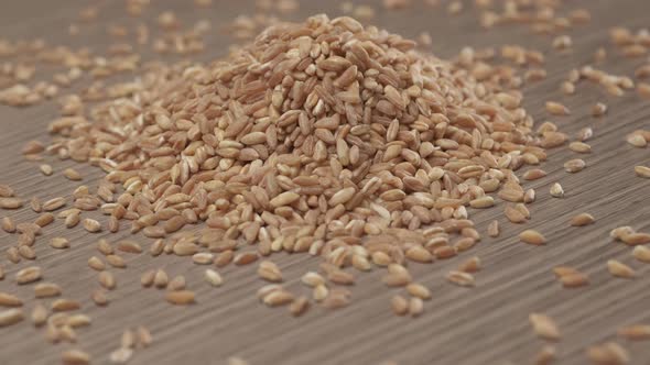 Wheat spelt grain rotating on wooden background.Organic agriculture vegan vegetarian ingredient