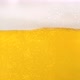 Beer Bubbles - VideoHive Item for Sale