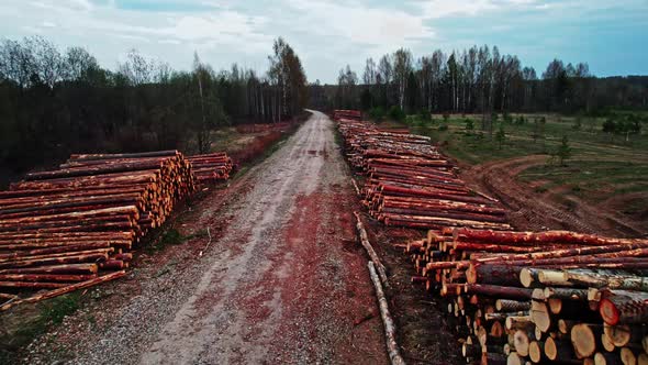 Raw Wood for Sawmill Along the Road