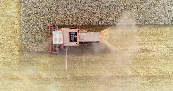 Combine Harvester Working in Agricultural Field