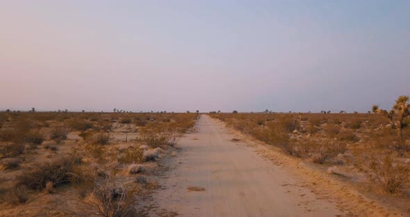 Moving backward along a Mojave Desert path at golden hour, LOW AERIAL