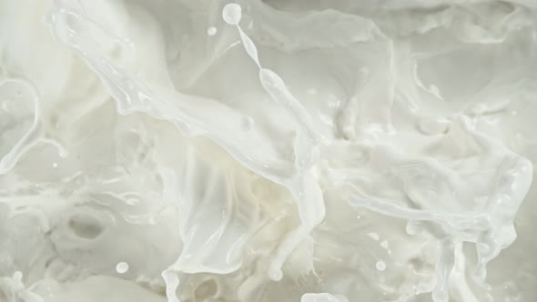 Super Slow Motion Shot of Splashing Fresh Milk at 1000 Fps