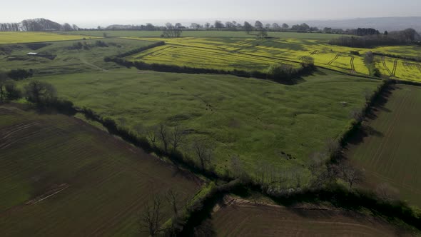 North Cotswolds Aerial Spring Landscape Grass Meadow, Rape Field, Colour Graded