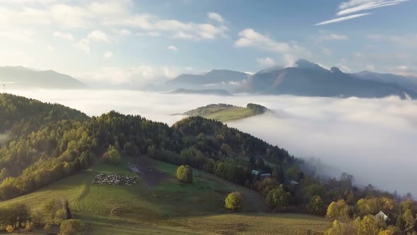 Aerial Foggy Autumn Landscape