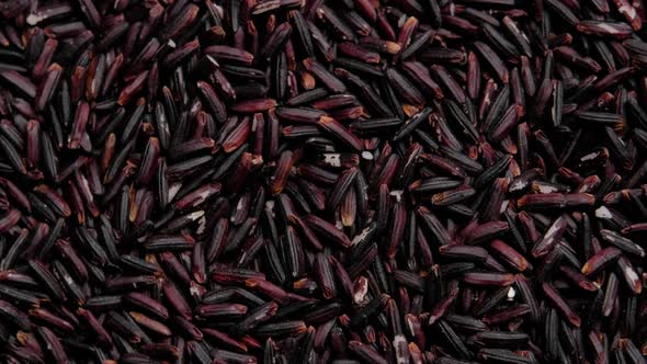 Rotation shot of Black rice berry, Top view, Close up.