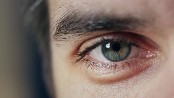 Beautiful Male Blue Eye Closeup