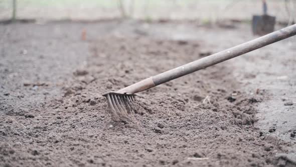 Leveling the Soil in the Garden with a Rake