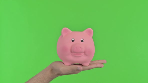 Putting Money in Piggy Bank Chroma Key