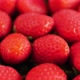 Background from freshly harvested delicious red strawberries - VideoHive Item for Sale